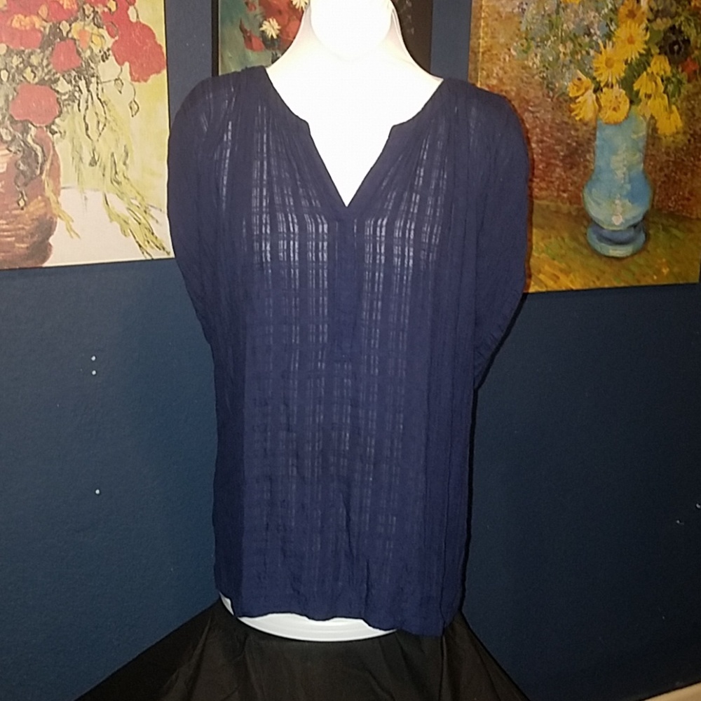 Navy Sheer Blouse 3X